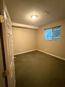 2 Bed   1 Bath Basement Suite for Rent – Fraser Heights - Photo 8