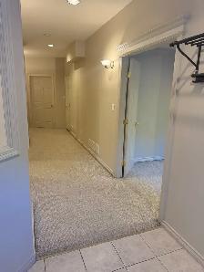 2 Bed   1 Bath Basement Suite for Rent – Fraser Heights - Photo 9