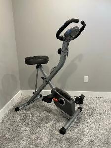 Exerpeutic Exercise Bike