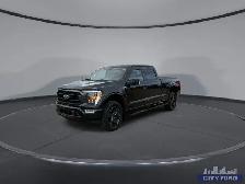 2022 Ford F-150 XLT 4x4 SuperCrew 6.5' Box - Photo 4