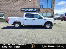 2019 Ford F-150 XLT | No Accidents Reported | V8 - Photo 4