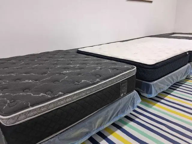 Fresh Truckload Just Arrived  | Moncton
