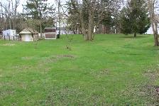 2 Beds 1 Bath house in quiet area - Photo 5