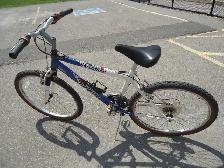 INFINITY-Telluride, Commuter Bike - Photo 8