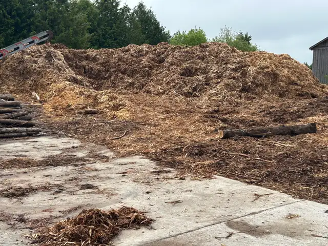 cedar mulch