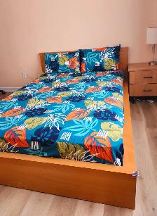 BEDROOM FOR RENT (Lady only)