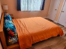 BEDROOM FOR RENT (Lady only) - Photo 3