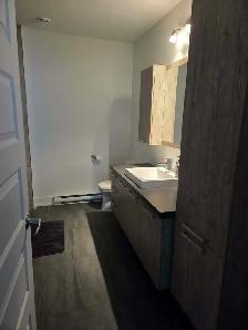 Grand 4 1/2 à louer à Mercier sur la Rive Sud - Photo 6