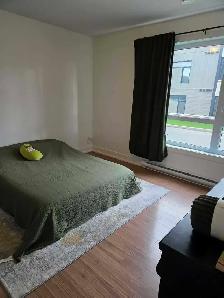 Grand 4 1/2 à louer à Mercier sur la Rive Sud - Photo 10