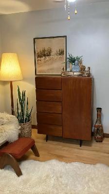 Mid century. TEAK TECK. Commode, armoire, buffet disques vinyles - Photo 9