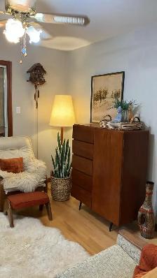 Mid century. TEAK TECK. Commode, armoire, buffet disques vinyles - Photo 10