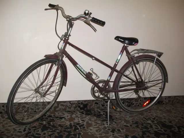 Ladies and Mens Bikes