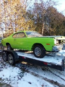 CAR HAULER TRAILER - Photo 2