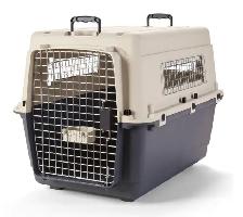 Dog Crate - 32" 40LBS - Plastic Carrier - Essentials - Photo 3