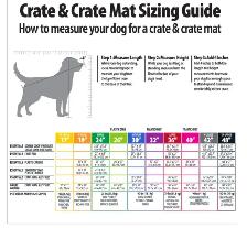 Dog Crate - 32" 40LBS - Plastic Carrier - Essentials - Photo 4