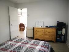 Beautiful and modern 3 ½ (850 sqft) in Longueuil (Saint-Hubert) - Photo 9