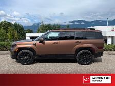 2025 Hyundai Santa Fe Ultimate Calligraphy ULTIMATE CALLIGRAP... - Photo 3