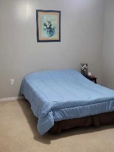 Room for rent - Photo 2