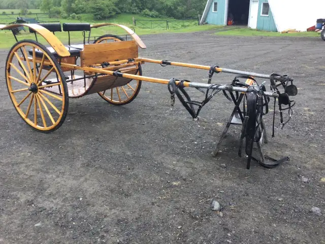 Voiture hippomobile à 2 roues (Buggy 3 places)
