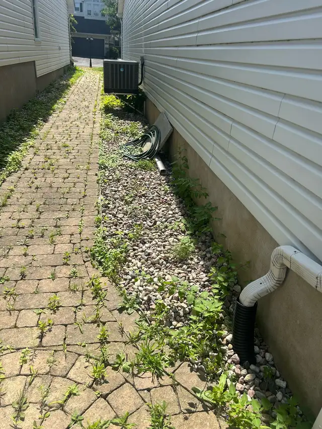 Weeds removal and landscaping