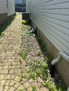 Weeds removal and landscaping