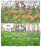 PAL - Non-Restricted - CFSC - July 4 - Photo 5