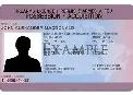 PAL - Non-Restricted - CFSC - July 4 - Photo 6