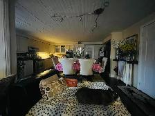 2 Bright beautiful rooms 1w- lrg patio 1w-priv 2 pc bath & entry - Photo 8