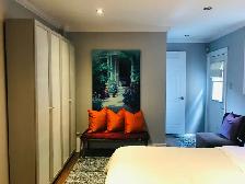 2 Bright beautiful rooms 1w- lrg patio 1w-priv 2 pc bath & entry - Photo 9