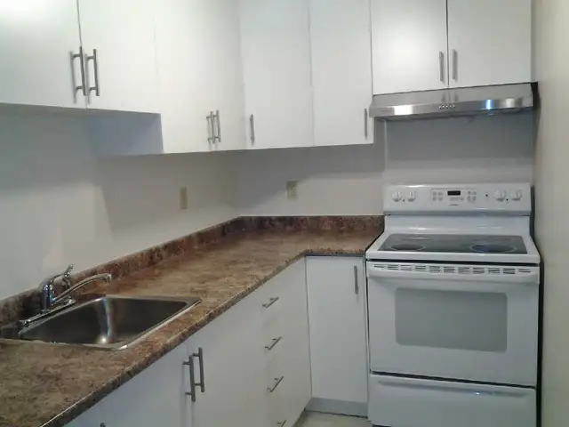 1 Bedroom Basement Apartment for Rent.