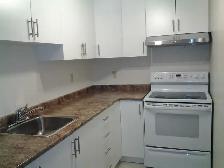 1 Bedroom Basement Apartment for Rent.