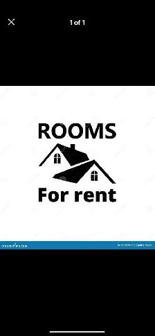 luxury furnished room rent for single - Photo 10