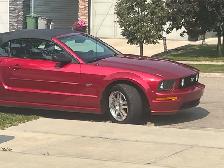 Stunning 2005 Ford Mustang GT V8  Convertible – Red-low km - Photo 10