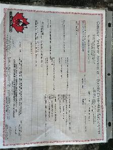 Registered Stallion for 2026 Breeding Season - Percheron - Photo 5