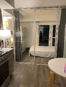 Apartment for Rent 181 Dundas East 45 floor - Photo 3