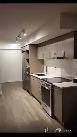 Apartment for Rent 181 Dundas East 45 floor - Photo 4