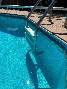 Solar blanket roller and 3 step pool ladder - Photo 5