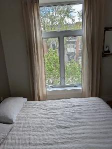 5 1/2 PLATEAU Mont-Royal  STATIONNEMENT  2 chambres WOW! - Photo 4