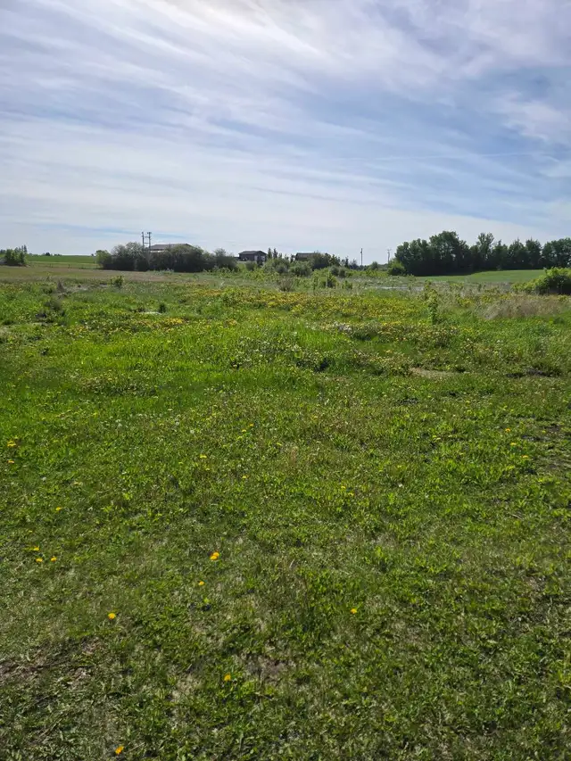 clean top soil wanted