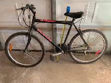 Bicycle 15 DASER Triumph