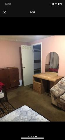 Room for Shearing - Photo 4