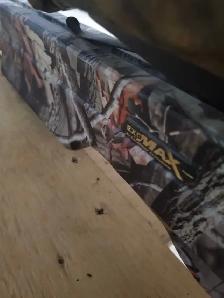 crossbow - Photo 2