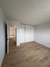 Joli logement au coeur de Gatineau - Entièrement rénové - Photo 5