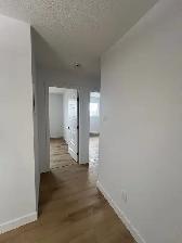 Joli logement au coeur de Gatineau - Entièrement rénové - Photo 8
