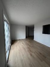 Joli logement au coeur de Gatineau - Entièrement rénové - Photo 9