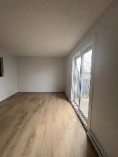 Joli logement au coeur de Gatineau - Entièrement rénové - Photo 12