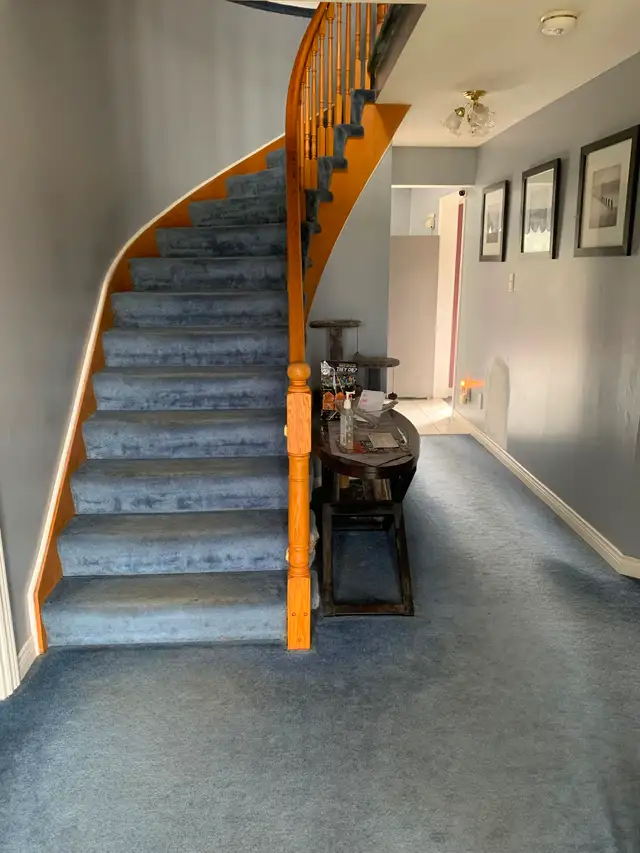 Executive home room for rent $750 July 1st