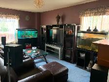 Executive home room for rent $750 July 1st - Photo 2