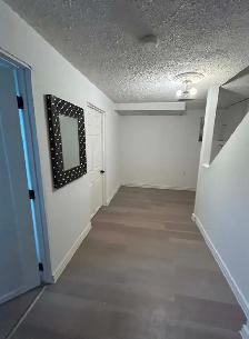 Newly renovated 2 bedroom basement