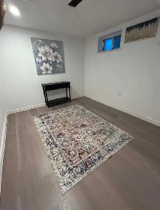 Newly renovated 2 bedroom basement - Photo 6